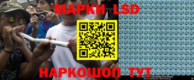 молекула духа Будённовск