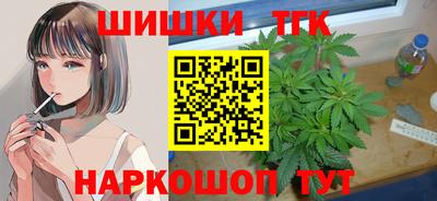 молекула духа Будённовск