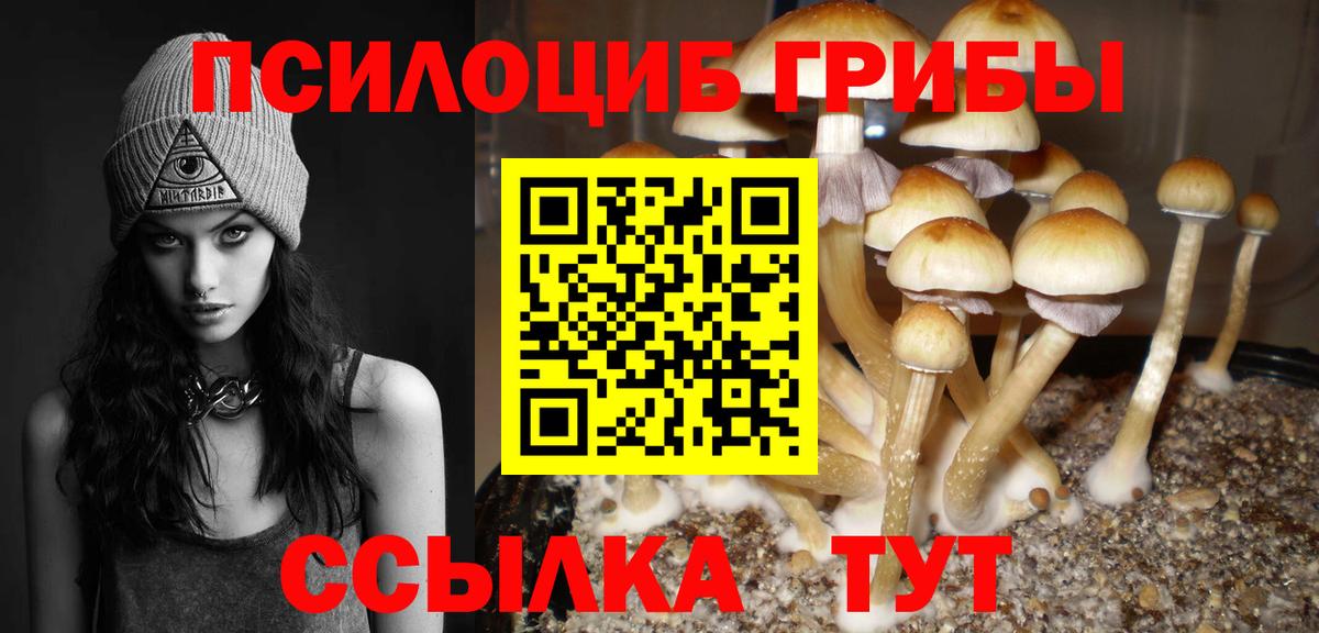 Галлюциногенные грибы Psilocybe  Павловский Посад  наркошоп  Псилоцибиновые грибы Cubensis 