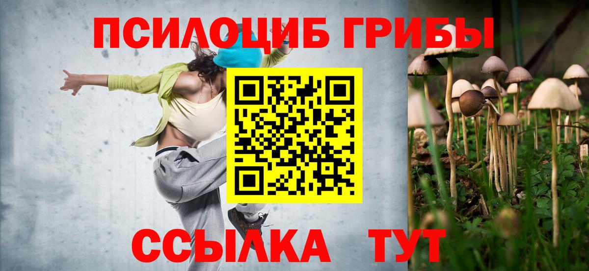 Псилоцибиновые грибы прущие грибы Павловский Посад