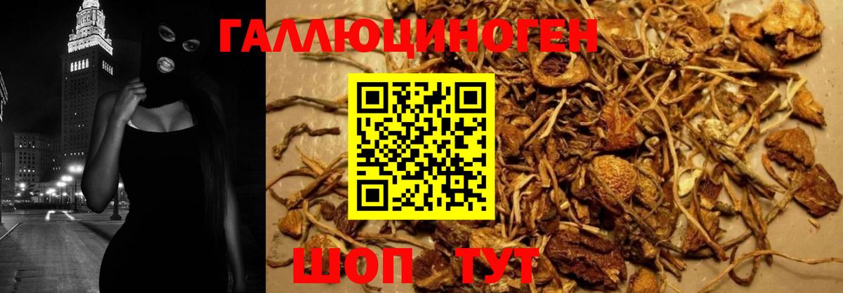 ГАШ  A PVP СОЛЬ   Конопля  МЕФ кристаллы  Лсд 25  Кетамин  Мефедрон   Codein  Павловский Посад  Экстази  Cocaine 